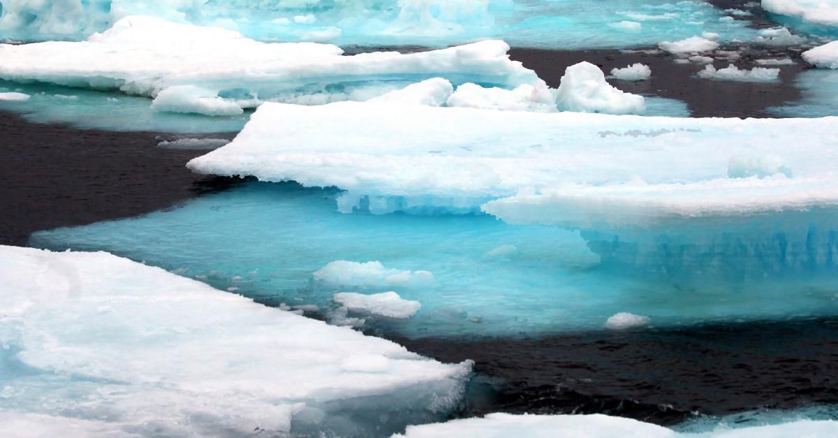 AI may provide orientation in a pitch black room