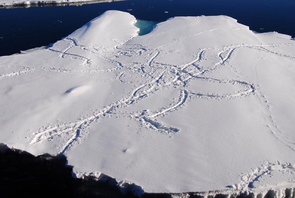 Human mobility feature